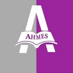 AHMES Logo